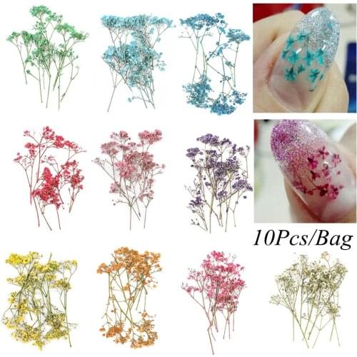 1Bag Women Fashion Mixed Color 3D Real Dried Flower Decor For UV Gel Sticker Decor multiple Colors Nail Art Tips DIY Tools