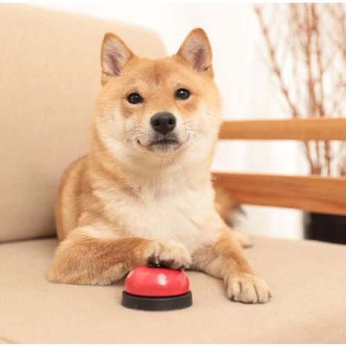 New Pet Call Bell Toy for Dog Interactive Pet Training Bell Toys Cat Kitten Puppy Food Feed Reminder Feeding Ringer