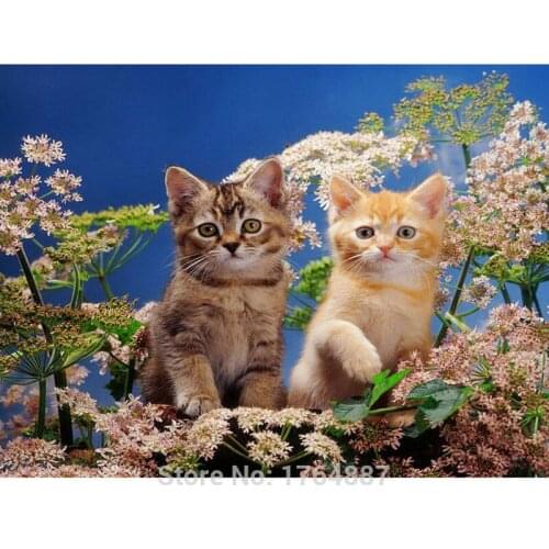 Needlework Diamond Painting Two Cute Cat Diamond Embroidery Flowers In The Cat Square Diamond Animal Series Children Adornment