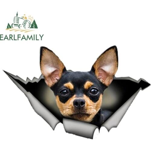 EARLFAMILY 13cm x 8.3cm Black and tan Chihuahua Vinyl Sticker Torn Metal Decal Reflective Stickers Waterproof Car Sticker Decals