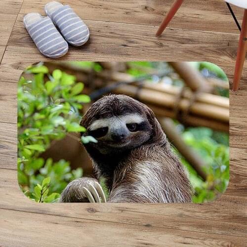 Anti-slip Door Mats Sloth Bathroom Shower Carpet Custom Bath Mat Soft Flannel DIY Doormat Absorbent Floor Rugs