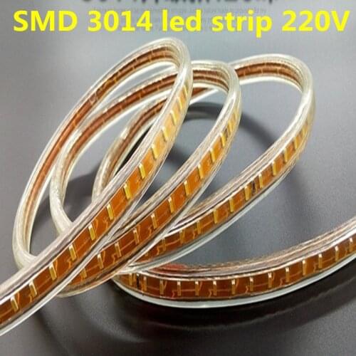SMD 3014 120leds/m 100m led strip 220V 240v 1m 2m 3m 4m 5m 10m 15m 20m 25m 50m Power plug waterproof led lights Free shipping