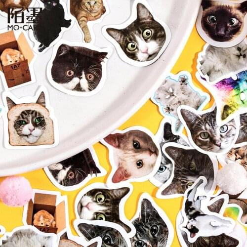 46 pcs /Box Stylish Cat Appreciation Paper Decorative Stickers