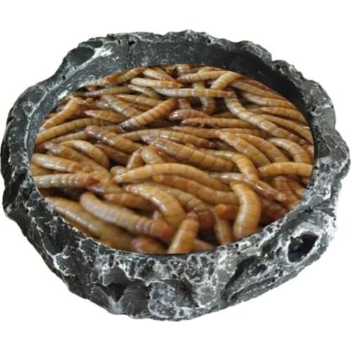 D7WA Reptile Food Bowl Water Dish Mealworm Feeder Small Shallow Resin Bowls