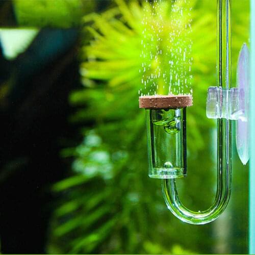 Aquarium CO2 Diffuser Suction Cup Transparent Fixing Atomizer Bubble Counter CO2 Plants Water Grass Regulator