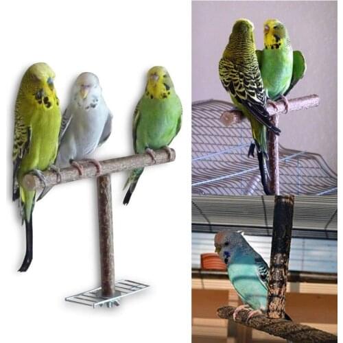 Bird Parrot Cage Toys Training T Perch Grinding Chewing Parakeet Wood Stand