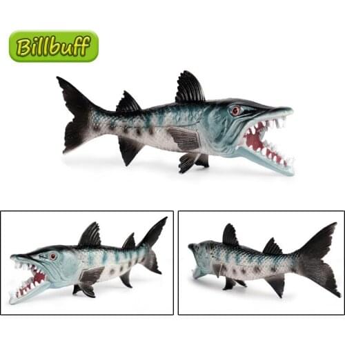 New 26cm Simulation Ocean Animal PVC Barracuda Model Action Figures Collection Miniature Cognition Educational Toys for children