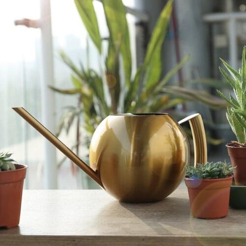 European Stainless Steel Long Mouth 1000ml Watering Can Gardening Watering Kettle Indoor Succulent Potted Plants Watering Pot