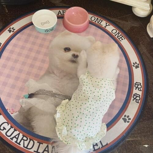 Cute Dots Dog Dress Summer Cat Clothing Chihuahua Yorkies Pomeranian Shih Tzu maltese Poodle Bichon Schnauzer Corgi Clothes XXS