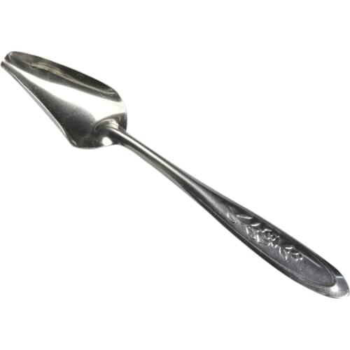 Bird Parrot Feeding Spoon Stainless Steel Water Milk Powder Feeder Spoons Bird Supplies Parrot Feeder for Baby Bird Cockatiel