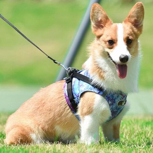 Reflective Pet Dog Vest Harness And Leash Set For Small Dogs Pomeranian Yorkshire Harnesses Nylon Puppy Lead Dog Chain Supplies