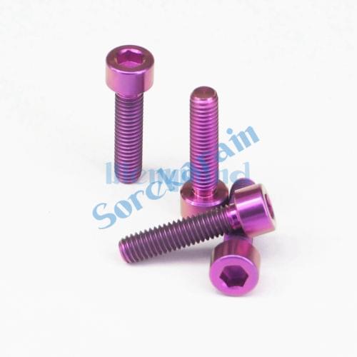 LOT 4 M6 x 25mm Purple TC4 GR5 Titanium Alloy Allen Hex Screw Column Head Bolts For Bicycle