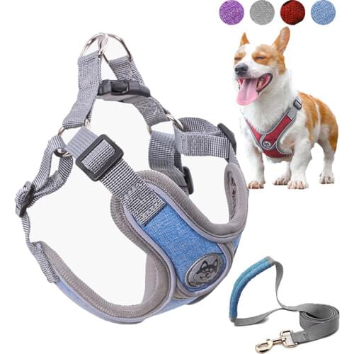 Первый питомец GJDFSYA China At AliExpress