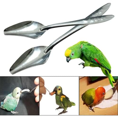 Bird And Parrot Feeding Spoon Stainless Steel Bird Supplies Feeding Pet Feeder Feeding Medicine Feeding Water Or Food Animals