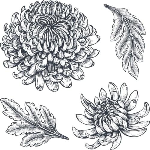 Chrysanthemum bloom flower transparent clear stamp for DIY Scrapbooking/Card Making/Kids Christmas Fun Decoration Supplies