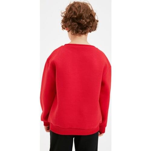 Trendyol Polarized In Basic Male Child Knitted Thick Sweatshirts TKDAW22SW0713