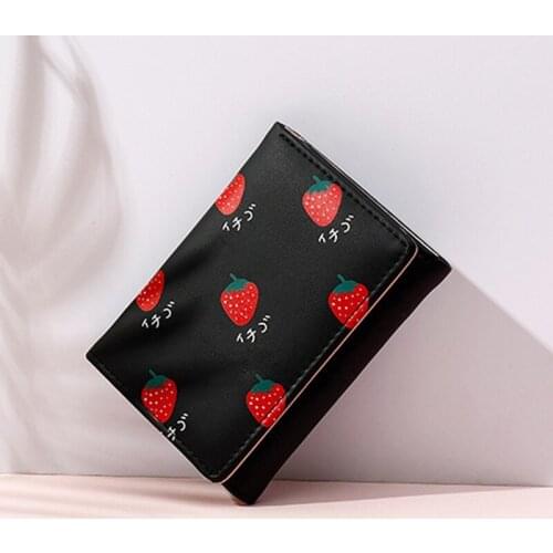 Bisi Goro Travel Wallets