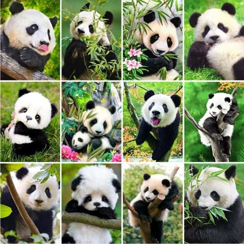 Diamond Painting Panda 5D DIY Full Square/Round Drill Animals Diamond Embroidery Cross Stitch Kit Home Decoration
