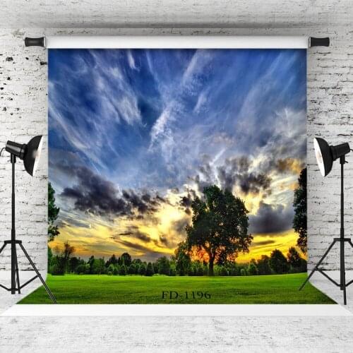 Sunset Grass Photography Backdrop for Photo Shoot Props Vinyl Cloth Printed Photo Background Children kids Baby Shower Photocall