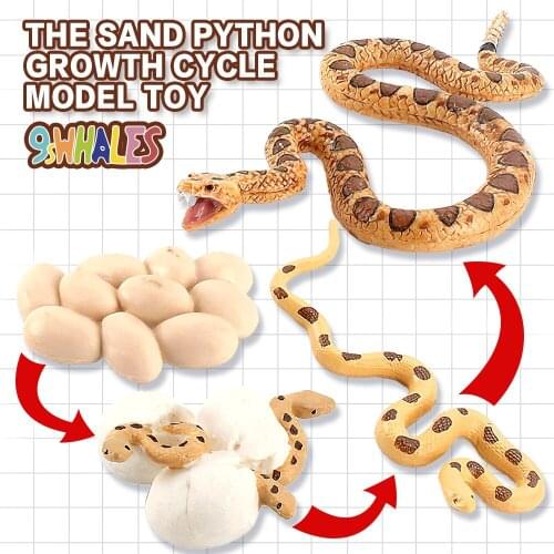 Realistic Sand Python Growth Cycle Educational Fidget Toy Snake Model PVC Scene Design Simulation Powder Toy figurine Decoration