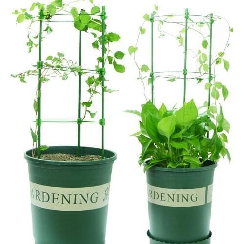 Invisible Wall Rattan Clamp Clip Invisible Wall Vine Climbing Sticky Hook Rattan Fixed Clip Bracket Plant Stent Supports 2