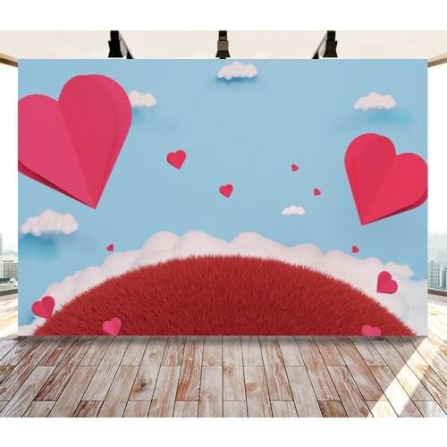 Love and Blue Sky Valentines Day Backdrop Photography Background Photo Booth Studio Decor