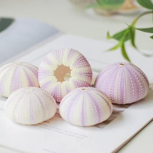 HAPPY KISS NEW 6PCS NATURAL DREAM PURPLE SEA URCHIN NATURAL SHELL CONCH BEACH WEDDING DECORATION COASTAL HOME CRASFTS