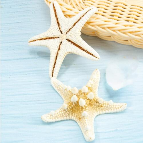 1pcs Mini Starfish Craft Decoration Natural Mediterranean Sea Stars DIY Beach Cottage Kids Bedroom Living Room Decor Crafts