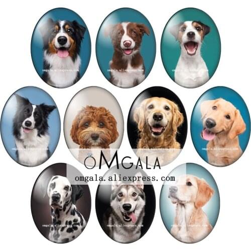 Fashion Lovely Dog Pets Head Photos 13x18mm/18x25mm/30x40mm Oval photo glass cabochon flat back Making findings