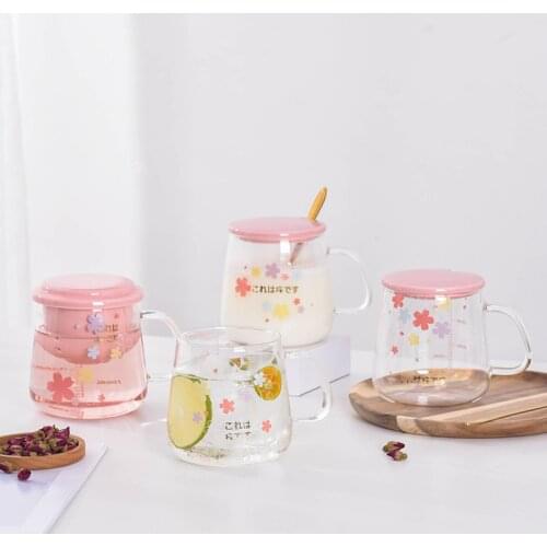 CANYAN Double Wall Glass Cups