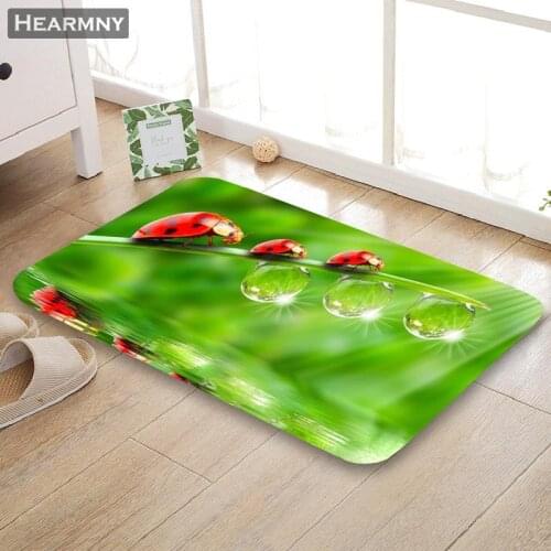 Custom Grass Meadow Dew Doormat Floor/Bath/Kitchen/Beach Mat Flannel Sponge Fabric 3D Printed Shaggy Decoration For Bedroom
