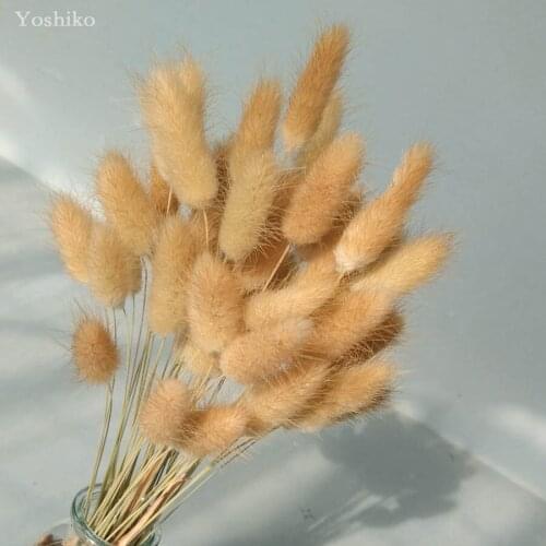 Yoshiko 50pcs/set Natural Dried Plant Reed Craft Home Decor Photography Prop shop office wedding decoration