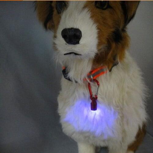 BLINKING PETS Accessories For Suitcases