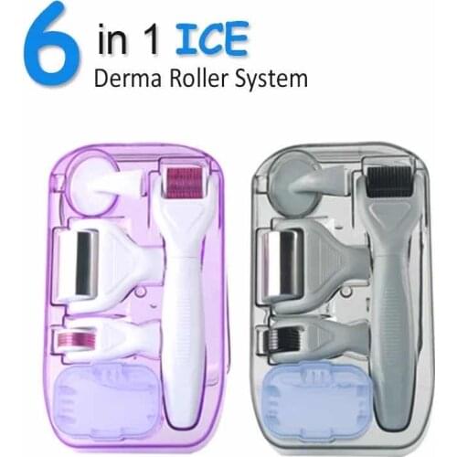 DRS ICE 6in 1 Derma Roller Kit Microneedle Facial Body Massager Skin Rejuvenation Dermaroller Anti Scare Microdermabrasion New