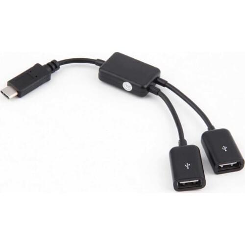2 in 1 USB 3.1 Type-C To USB 2.0 Power Charging OTG Hub Cable Adapter GDeals