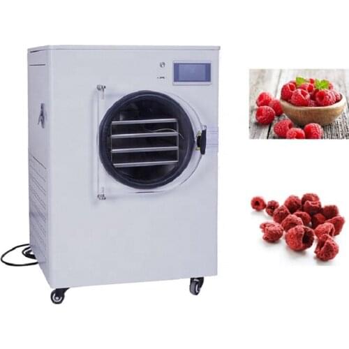 6-8kg Food Drying Machine Mini Freeze Household Vegetable Freezer Dryer With Pump For Sale