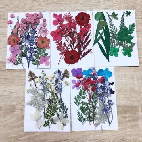 Pressed Flower Mixed Dried Flowers Material for DIY Aromatherapy Candles Greeting Card Epoxy Craft Earrings J2Y