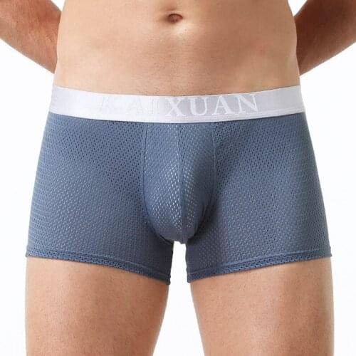 Men Boxer Shorts Mesh Seamless Ice Silk Panties Breathable Underwear Calzoncillo Hombre Slip Gay Panties Boxershorts Unterwasche