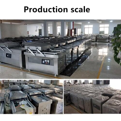 DZ-4002SA vacuum sealing sealer foodsaver food sealer machine