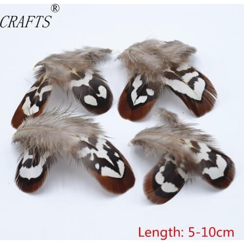 Wholesale 100 pcs quality natural Pheasant feathers, 2-4inches / 5-9cm DIY decorative handicrafts accessories