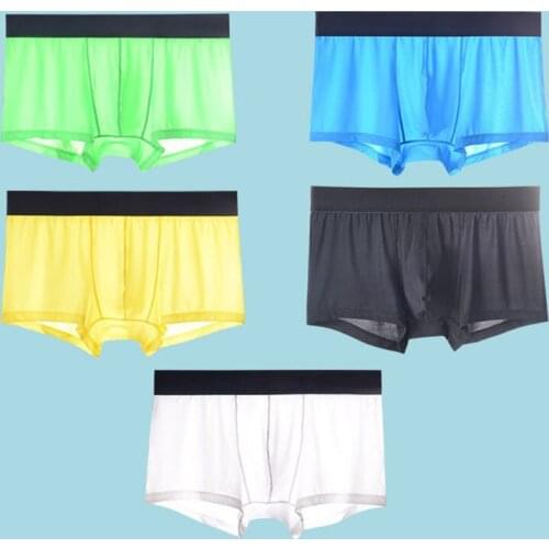 5pcs Mesh Boxer Shorts Underwear Cool Ice Silk Mens Boxer Underpants Super Breathable Men Sexy Slim Man Panties Transparent