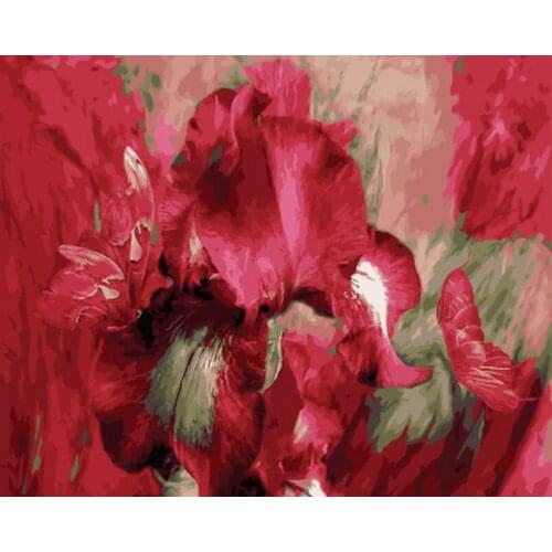 Frameless diy painting by numbers flowers wall decor picture oil painting on canvas for home decor 4050 red peony
