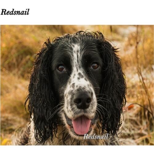 Full square round drill diy diamond painting British cocker spaniel pictures mosaic by numbers 5d rhinestone embroidery EE352