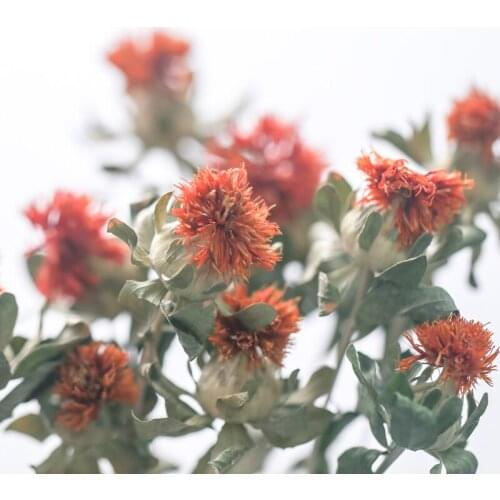 10pcs Dried flowers real natural orange pineapple flower bunch for home office wedding decoration