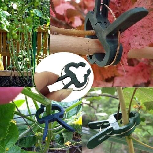 100/50Pcs Garden Fastener Clips Greenhouse Bracket Pole Fixed Clamp Plants Flower Seedling Stem Support for Stakes Connector