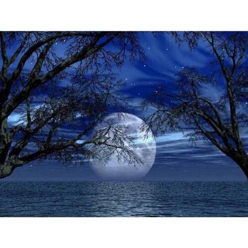 5D Diy Diamond painting cross stitch Diamond Embroidery Moonlight Tree Scene Full square round mosaic Rhinestone needlework C835