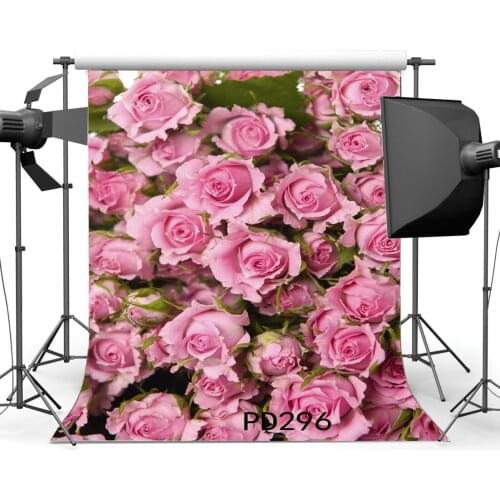 Photography Backdrops Valentines Day Blooming Fresh Rose Flower