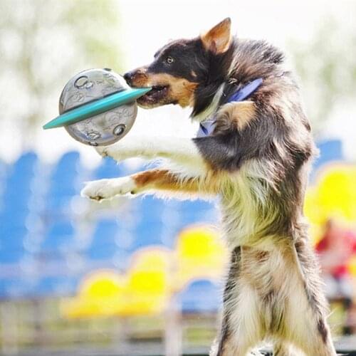 Dog Flying Discs Toy Eco Friendly Soft Rubber Floatable UFO Resistant Bite Chew Disk Puppy Interactive Training Pet Supplies