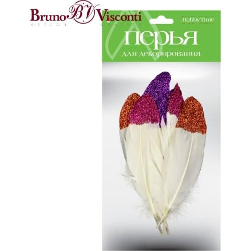 BRUNO VISCONTI Decorative Feathers