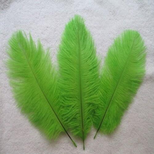 Hot! 10Pcs/lot Natural 15-20cm 6-8 inch green Color Ostrich Feathers ostrich plumes for party /wedding decorative